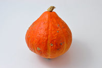 Potimarron (plant)