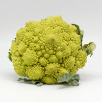 Chou romanesco (planton)