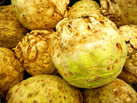 Céleri pomme (planton)