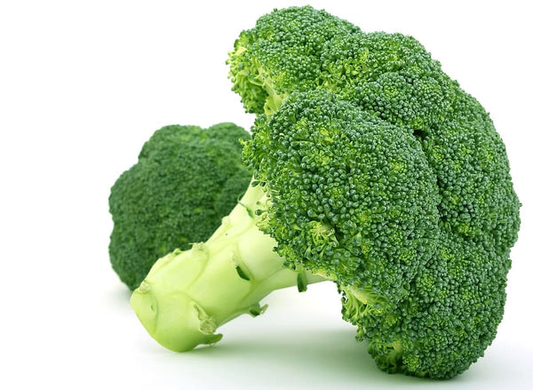 Brocoli (planton)