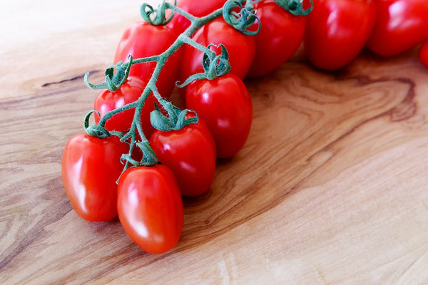 Tomate datte (plant)