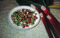 Rhubarbe FRAMBOZEN ROOD