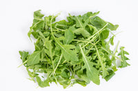 Roquette - Rucola (planton)
