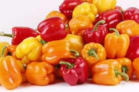 Poivron (plant)