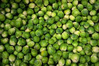 Chou de Bruxelles (planton)